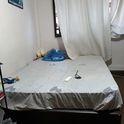 Buangkok Link (Hougang),  #567504301